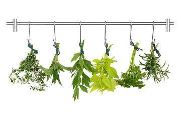 Image showing Drying Herbs