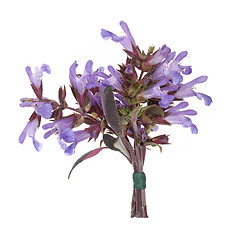 Image showing Sage Herb Flower Posy