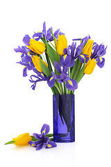 Image showing Iris and Tulip Flowers