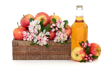 Image showing Cider Apples with Blossom