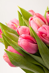 Image showing Pink tulips