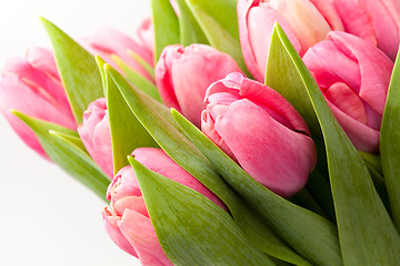 Image showing Pink tulips