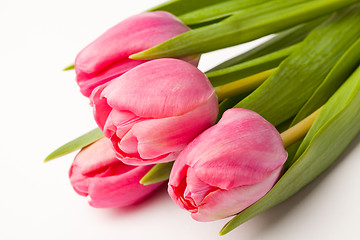 Image showing Pink tulips