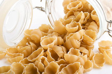 Image showing Sea Shell Pasta