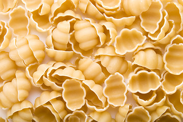 Image showing Sea Shell Pasta Background