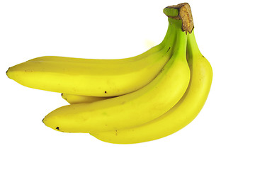 Image showing Bunch of bananas