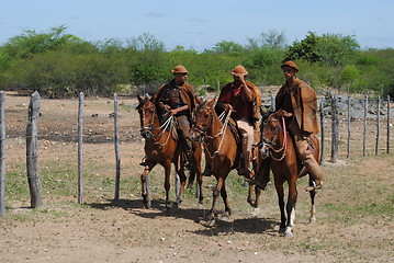 Image showing Cowboy