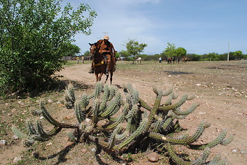 Image showing cowboy