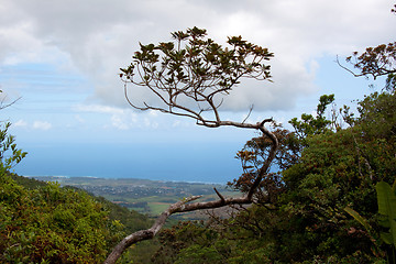 Image showing View of the West Coast