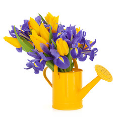 Image showing Tulip and Iris Flower Beauty