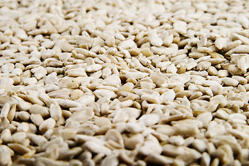 Image showing Sunflower Seeds Background