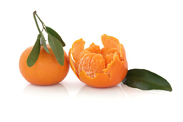 Image showing Mandarin Oranges