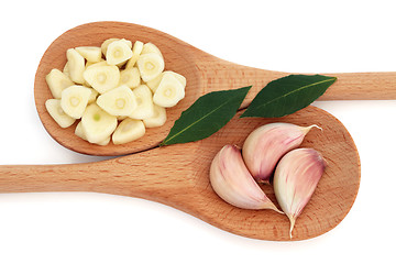 Image showing Garlic  