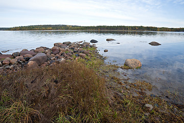 Image showing White sea gulf