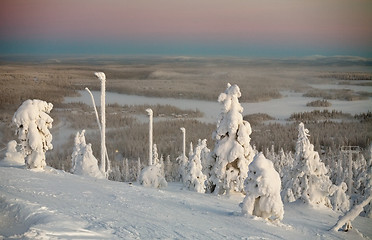 Image showing frozen landscape