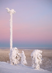 Image showing frost