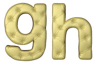 Image showing Luxury beige leather font G H letters