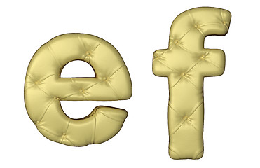 Image showing Luxury beige leather font E F letters