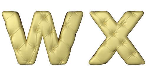 Image showing Luxury beige leather font W X letters 