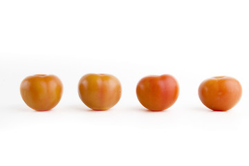 Image showing Four Tomatoes