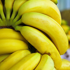 Image showing banana fruits