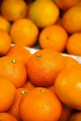 Image showing tangerine background