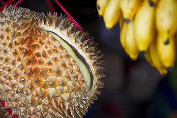 Image showing durian fruit