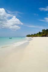 Image showing Tropical beach with palm and white sand