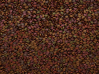 Image showing Unsorted Coffee beans texture or background