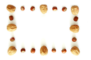 Image showing Nuts photo frame
