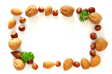 Image showing Nuts photo frame