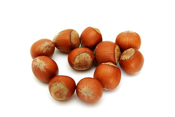 Image showing Shot of hazelnuts