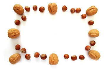 Image showing Nuts photo frame