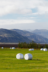 Image showing Farming in Iceland