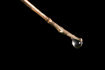 Image showing Macro shoot rod with a water drop on it,