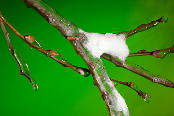 Image showing Last snow