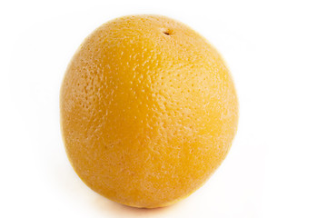 Image showing Isolated orange