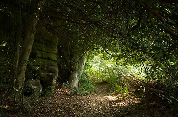 Image showing Brambletye Rocks and footpath by trees and field