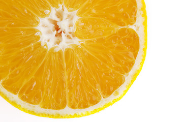 Image showing Orange Slice Detail