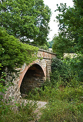 Image showing Bridge over Forest Way