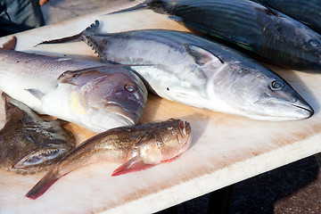 Image showing Mediterranean fishes on the market