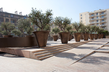 Image showing Olive trees of the square Villeneuve Bargemon