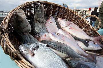 Image showing Wicker basket of fishes