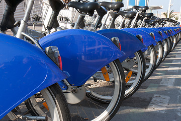 Image showing bikes to rent