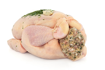 Image showing Stuffed Chicken