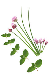 Image showing Mint and Chive Herbs