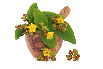 Image showing St Johns Wort Herb and Flowers