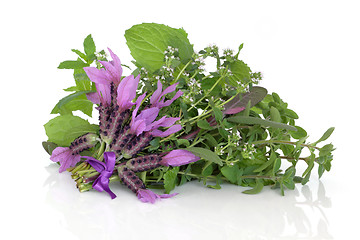 Image showing Medicinal Flower and Herb Leaves