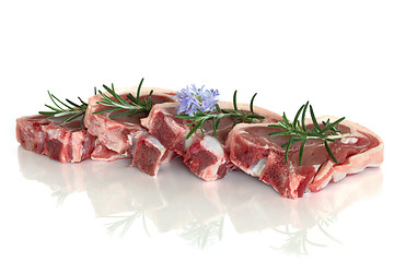Image showing Lamb Chops