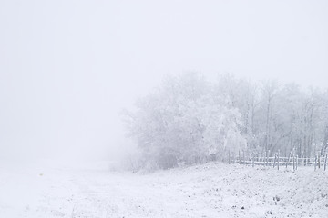 Image showing Prairie Fog